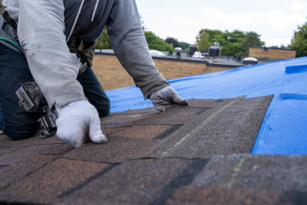 Best Residential Roofing Contractor  in Standish, MI
